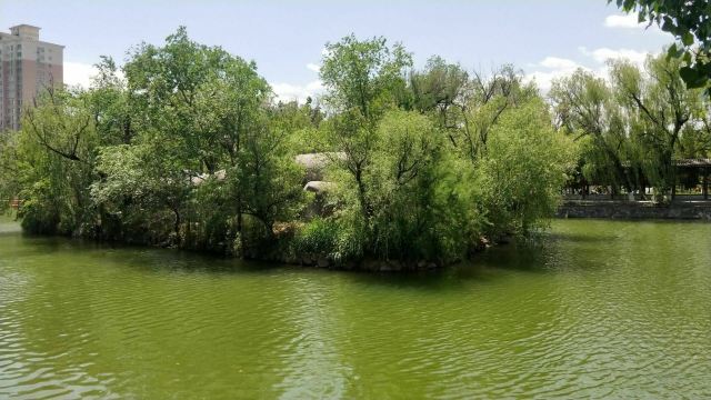宣化人民公园旅行图片 3