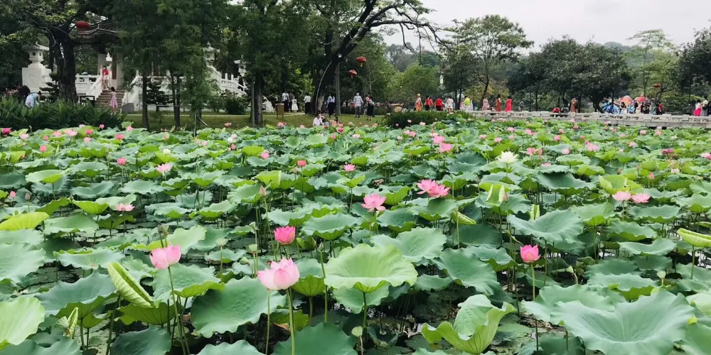 永安旅遊