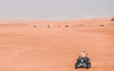 沙漠冲沙-迪拜-小小呆60