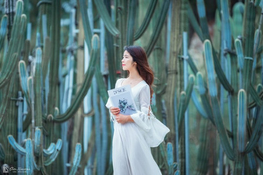 鼓浪屿游记图文-【厦门攻略】赴一场六年之约，谱一曲似水年华——厦门攻略