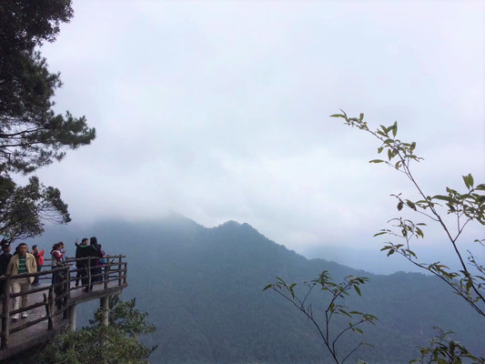 初秋的井冈山——龙潭和杜鹃山景区（王志明）