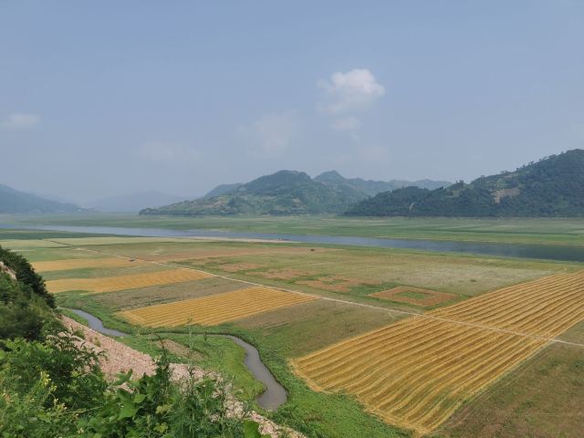 振江镇绿江村景点旅行图片 3