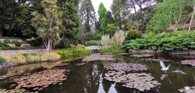 Royal Tasmanian Botanical Gardens