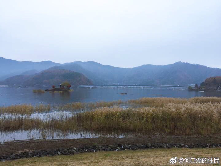 秋雨过后...