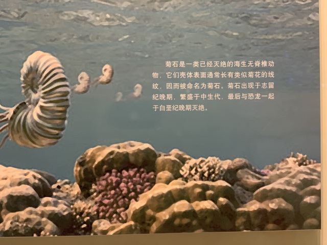 Tianjin Natural History Museum