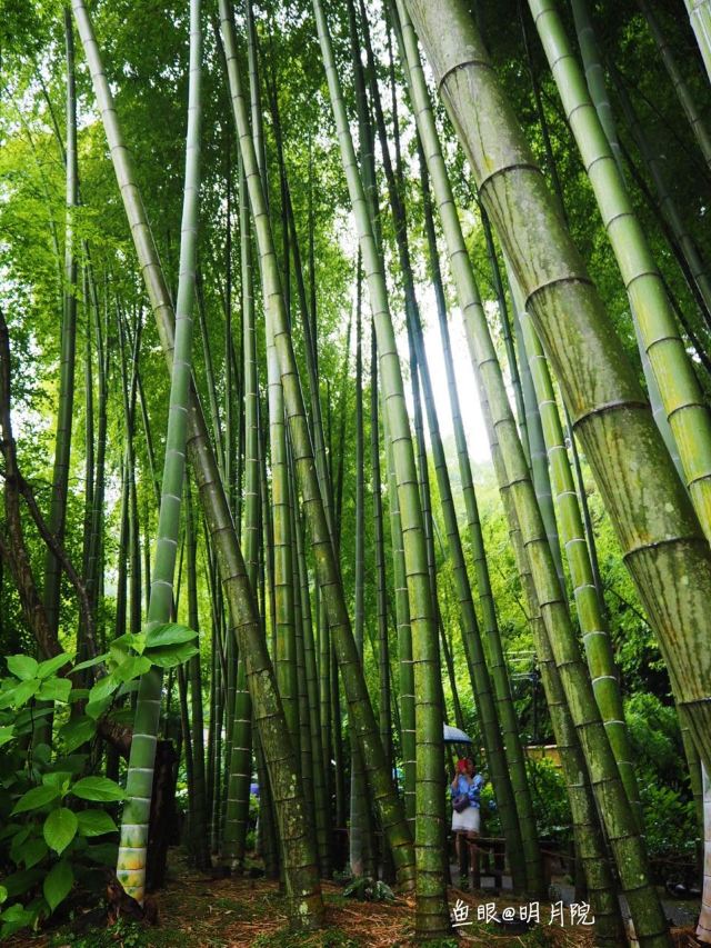 Meigetsu-in