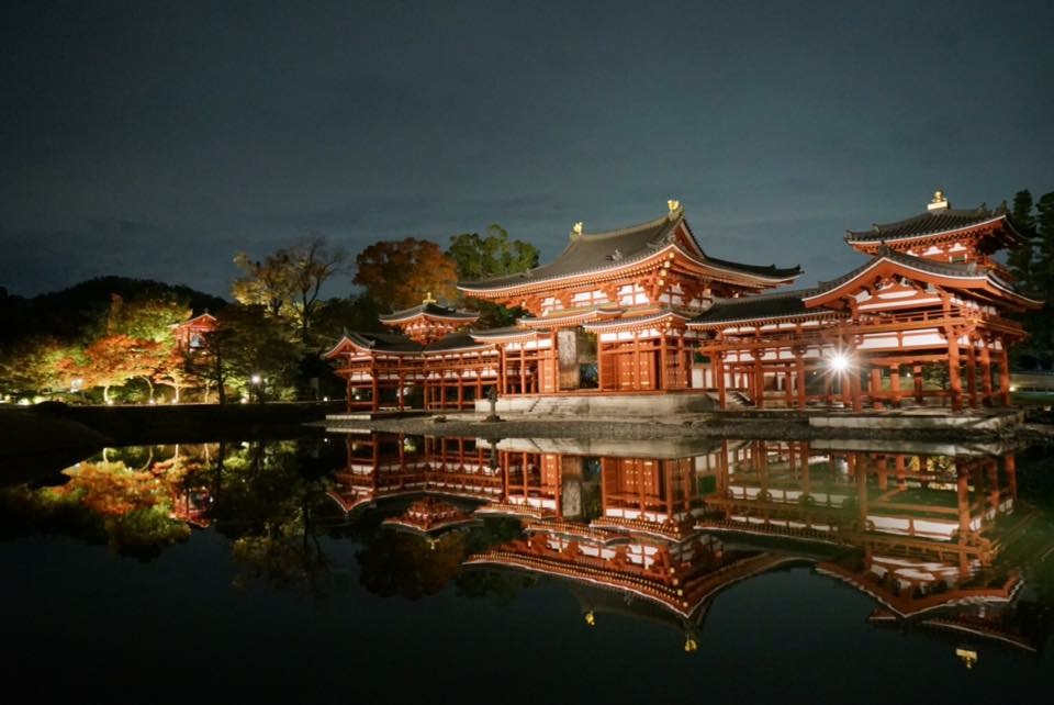 京都 · 宇治・平等院・夜间Light up