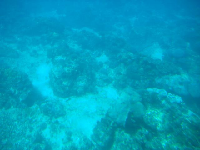 Secret Lagoon