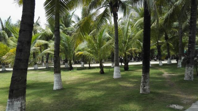 West Island