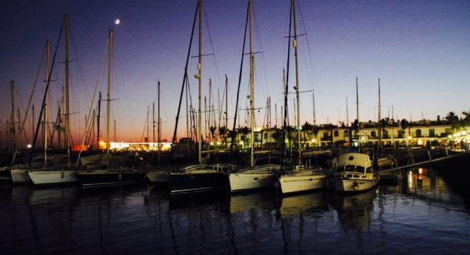 Cafe de Mogan餐厅图片