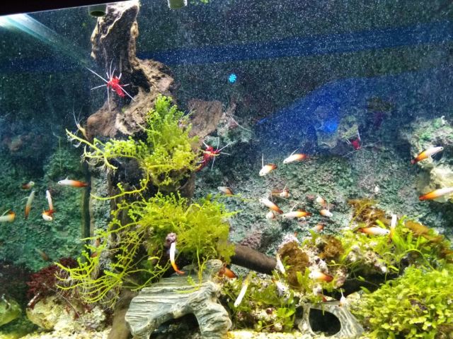 Grandview Aquarium