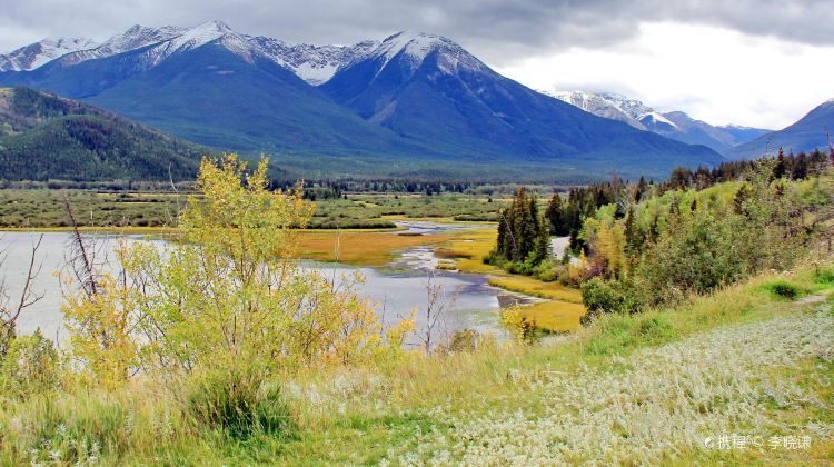【Winter Tour: Calgary In and Vancouver Out】3-Day Canadian Tour from Calgary·Banff National Park, Johnston Canyon and Lake Louise