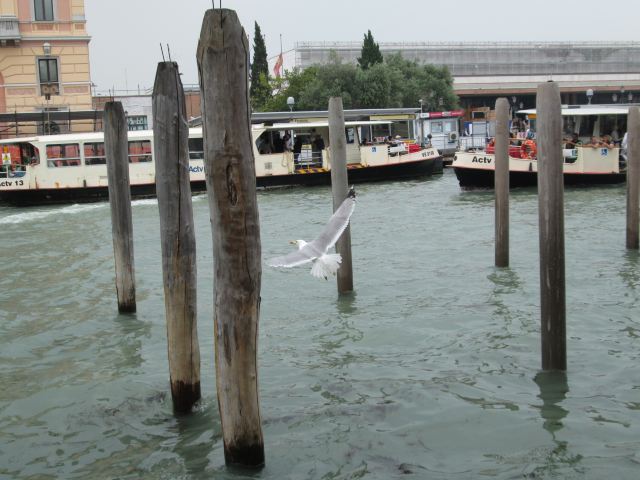 Riva degli Schiavoni