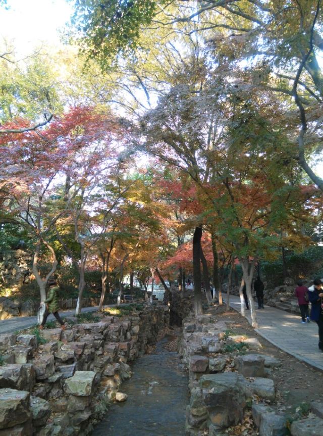 Yushan Park