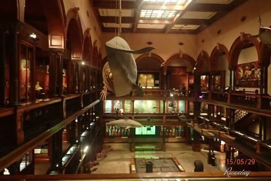 Bishop Museum