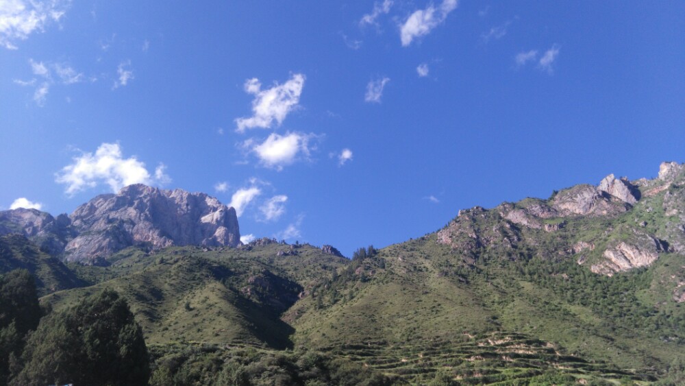 东蛙村