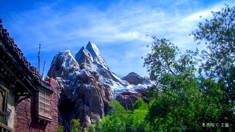 9-Day Theme Parks Tour from Orlando·Orlando Theme Parks, Everglades National Park, Key West, Fort Lauderdale and Palm Beach | 14 Theme Parks or Day Tours Available