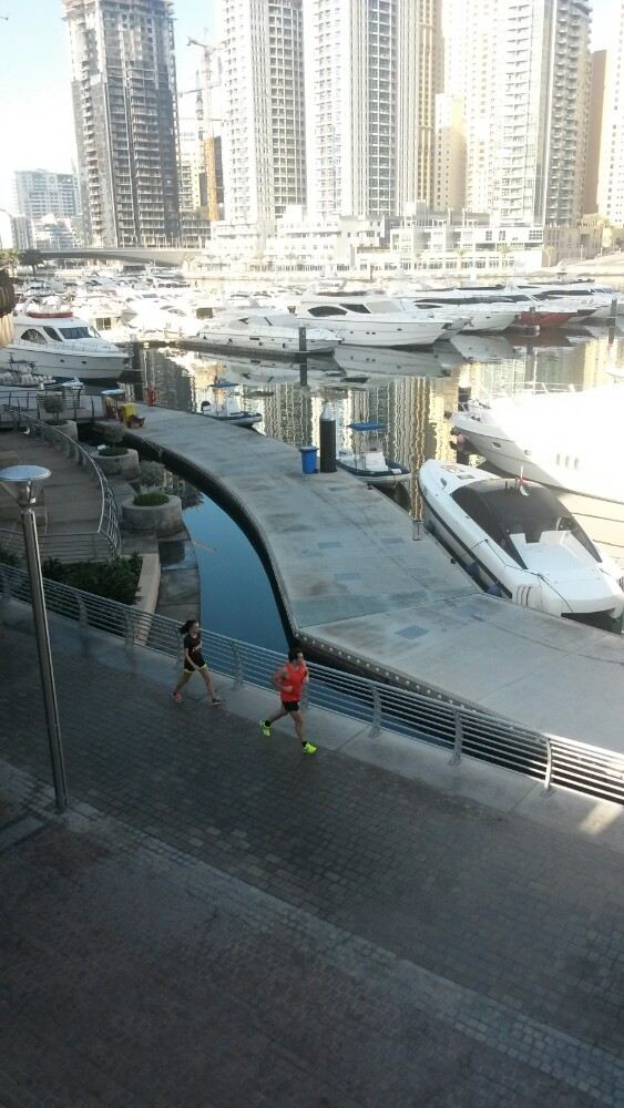 Dubai Marina Yacht Club