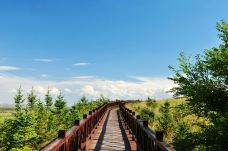 滦河神韵-沽源-小张太子jade