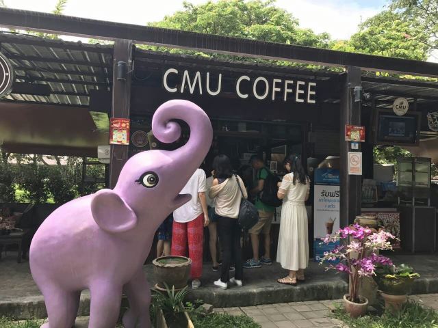 치앙마이 대학교