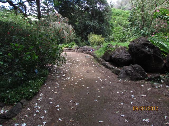 Waimea Valley