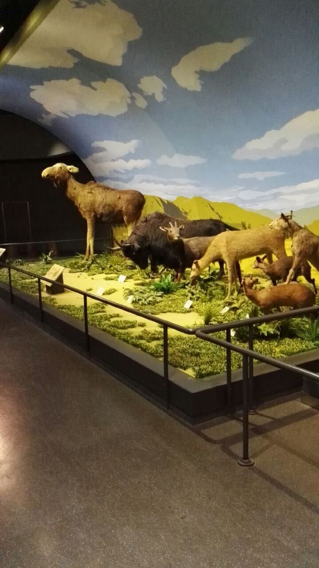 Tianjin Natural History Museum