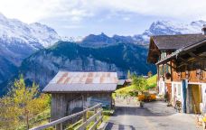 米伦-米伦-doris圈圈