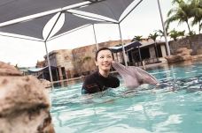 海哺栖息地-新加坡-傻桃子呦西