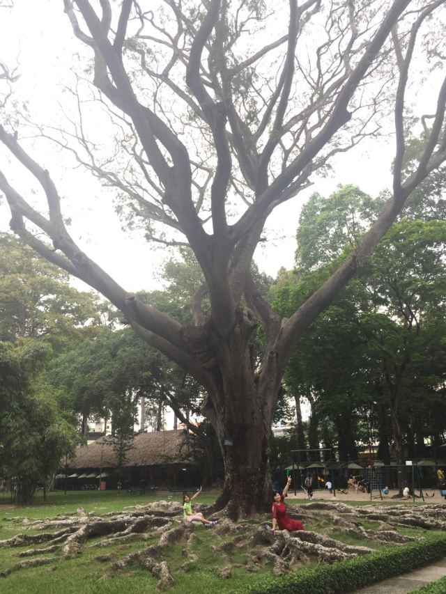 통일궁