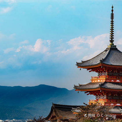 日本大阪+京都+奈良+奈良公园+清水寺一日游