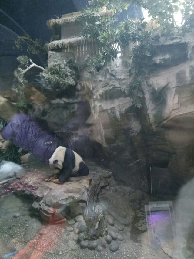 Beijing Zoo