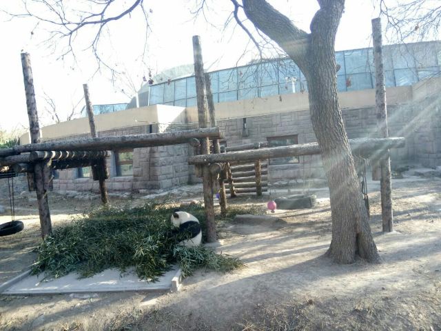 Beijing Zoo