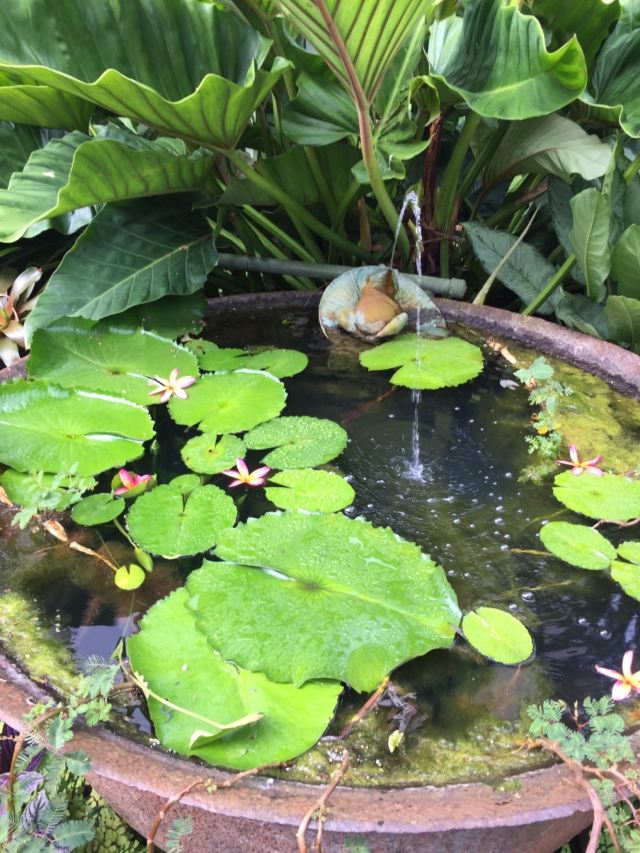 Hunte's Gardens