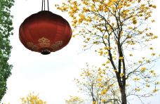 剑英公园-梅州-懟懟