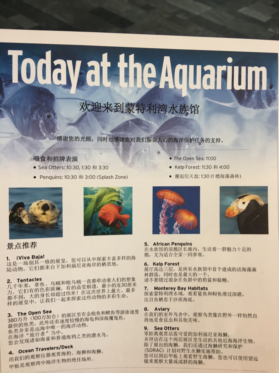 蒙特利湾水族馆