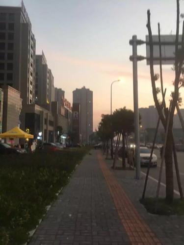 崧厦镇人口_崧厦镇小