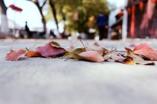 巴城老街-昆山-YoYo_9M4B3B6S