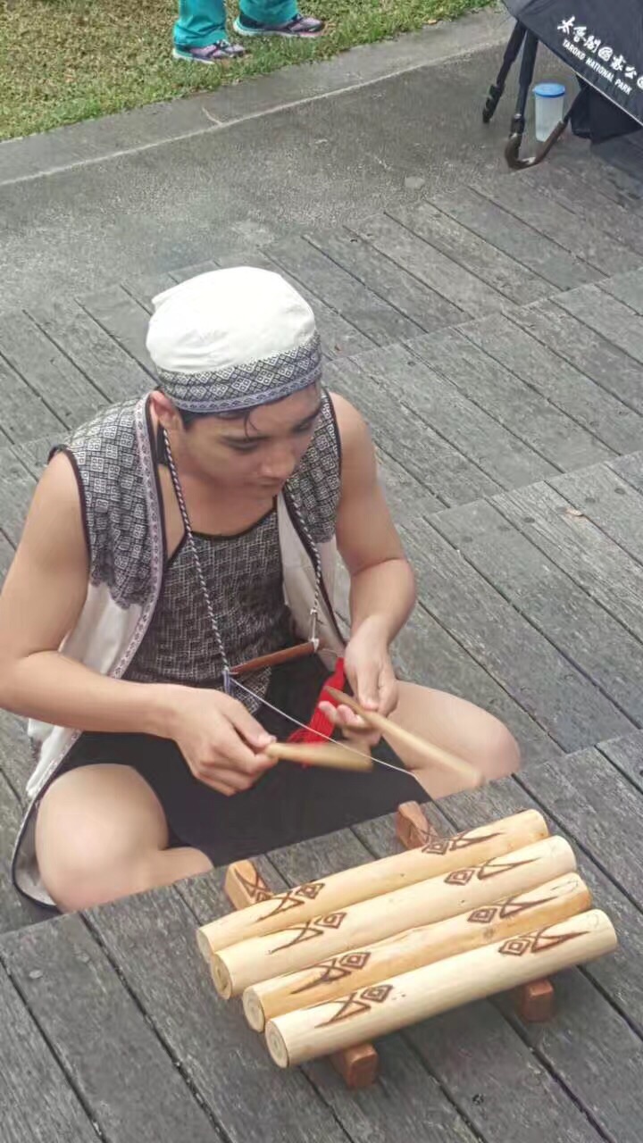 太鲁阁族传统乐器
