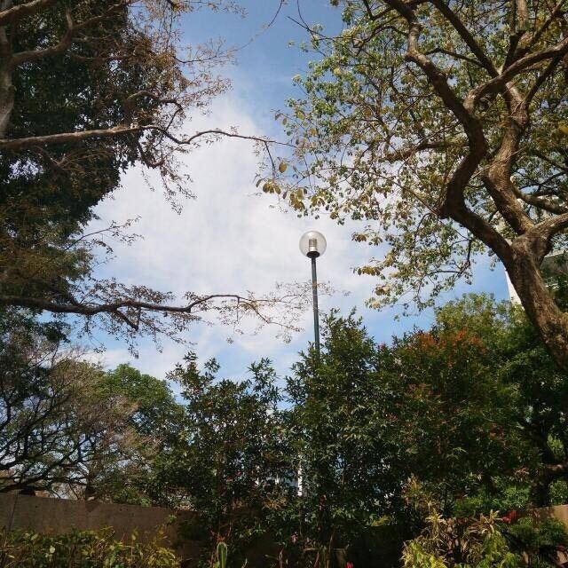 Kowloon Park
