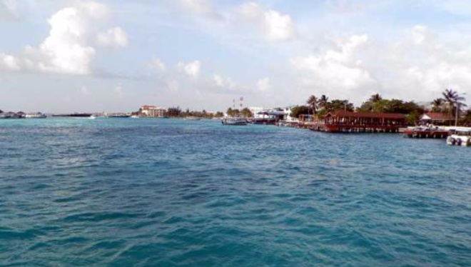 Floating bar & Safari餐厅图片