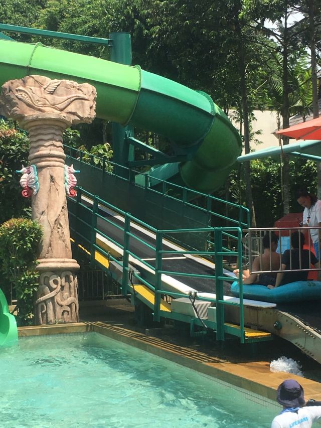 Adventure Cove Waterpark