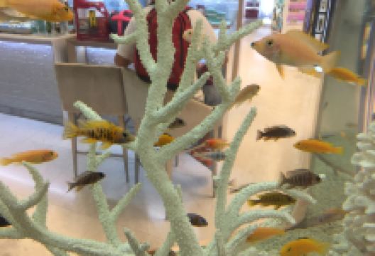 Dining by the Rocks美食图片