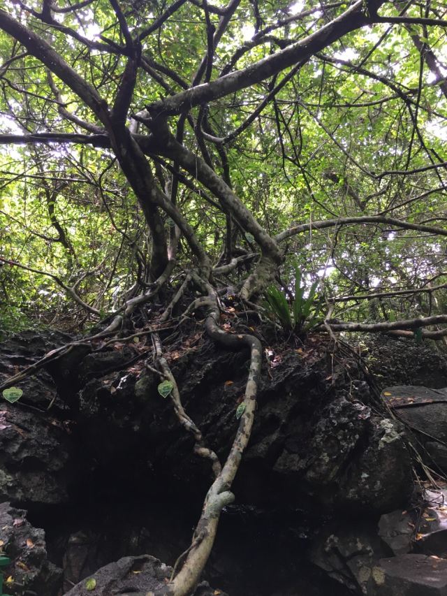 Yanoda Rainforest Cultural Tourism Zone