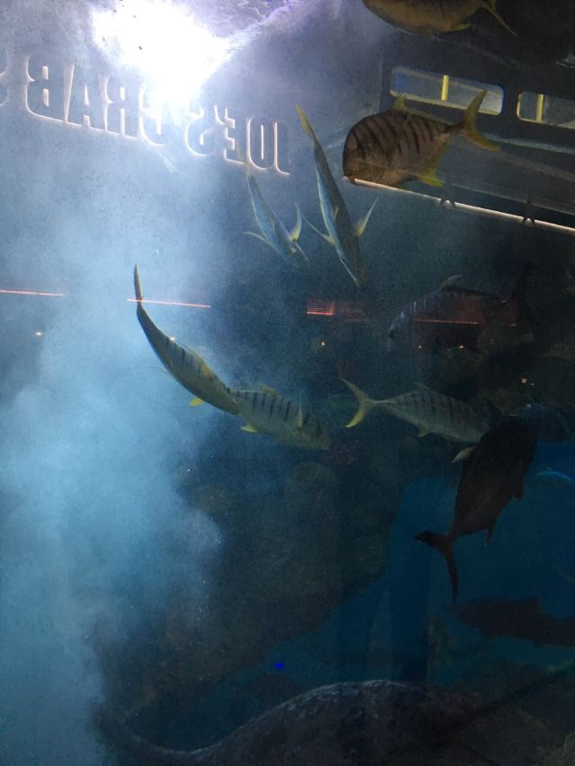 Texas Roadhouse (Dubai Mall)