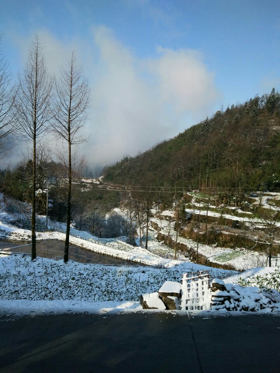 天星山