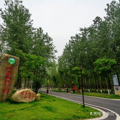 江苏盐城+大洋湾生态旅游景区+中华麋鹿园+丹顶鹤湿地生态旅游区3日2晚私家团