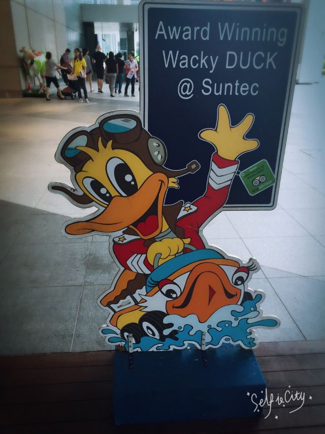 DUCK Tours