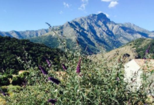 Osteria Restaurant美食图片