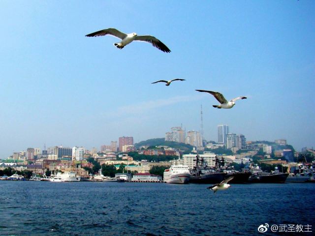 금각만