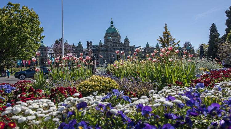 【Winter Tour】3-Day Vancouver & Victoria Tour·BC Ferry, The Butchart Gardens, Chinatown Victoria and Victoria Inner Harbour | 1 Free Day